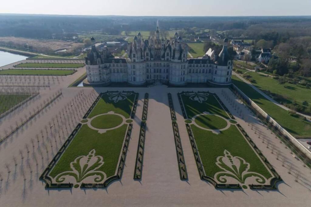 Les Bruyeres De Jeanne Et Rene Zoo De Beauval A 20Min,Chateaux Tout Inclus Fontguenand Eksteriør bilde