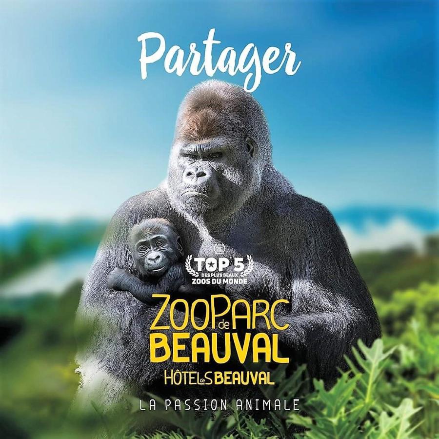 Les Bruyeres De Jeanne Et Rene Zoo De Beauval A 20Min,Chateaux Tout Inclus Fontguenand Eksteriør bilde