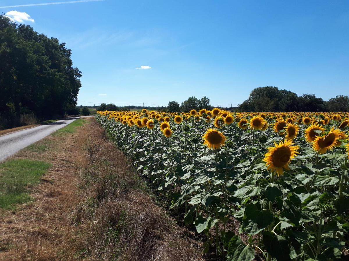 Les Bruyeres De Jeanne Et Rene Zoo De Beauval A 20Min,Chateaux Tout Inclus Fontguenand Eksteriør bilde